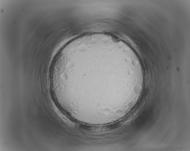 X0000077280795200611101316