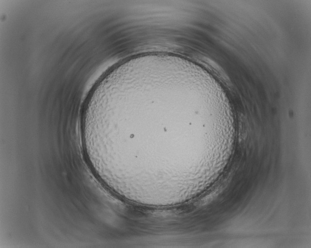 X0000077280796200611101316