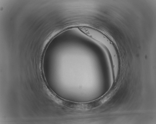 X0000077280797200611101316