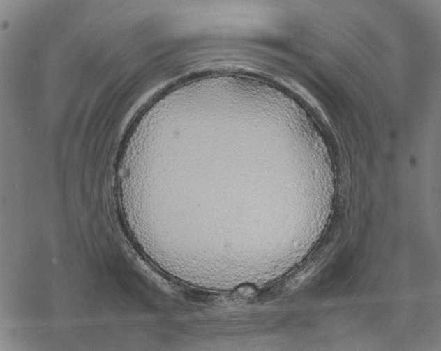 X0000077280799200611101316