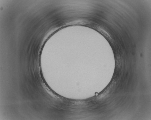 X0000077280800200611101316