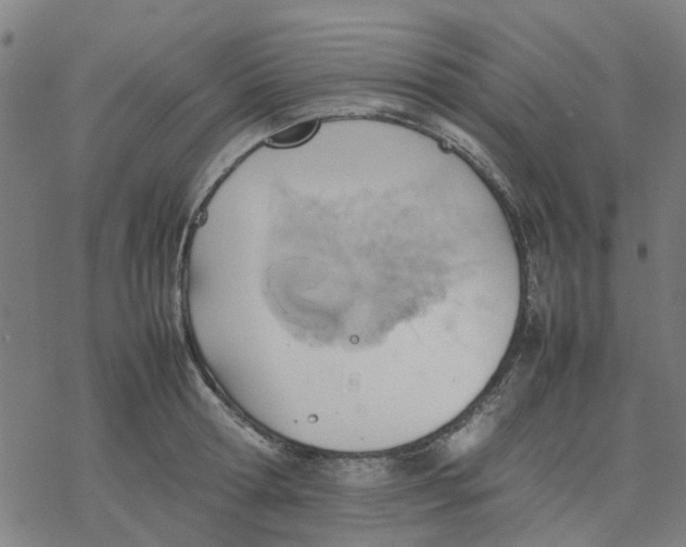 X0000077280802200611101316