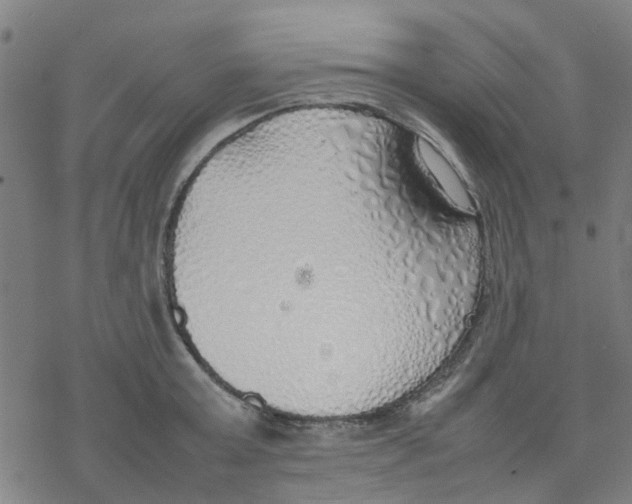 X0000077280803200611101316