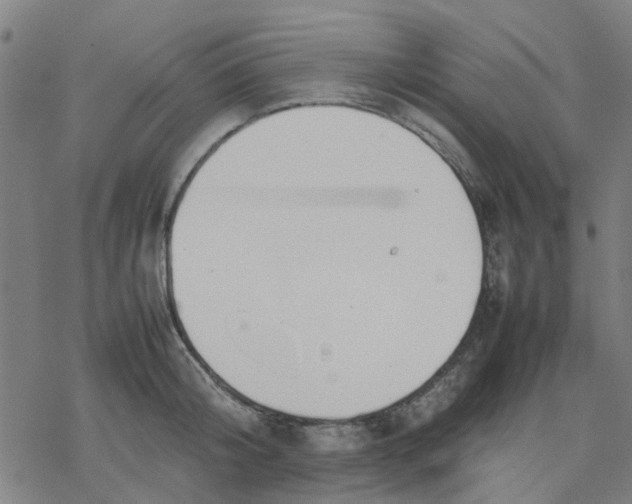 X0000077280804200611101316