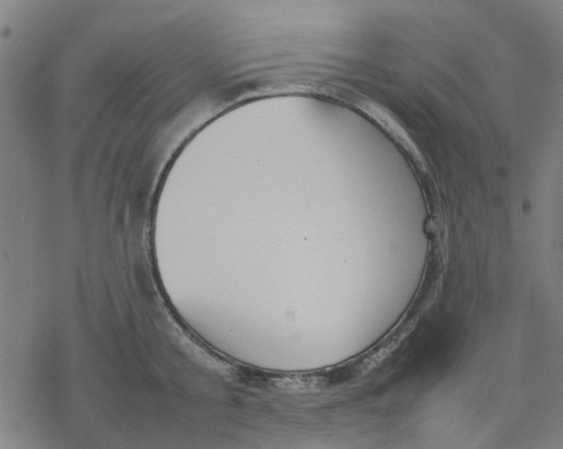 X0000077280805200611101316