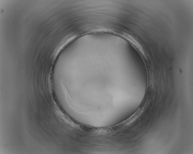 X0000077280806200611101316