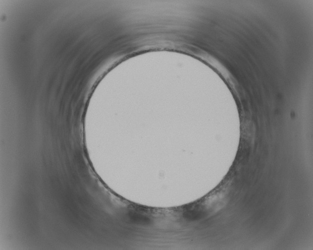 X0000077280807200611101316