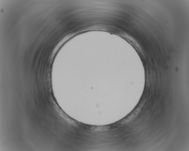 X0000077280808200611101316