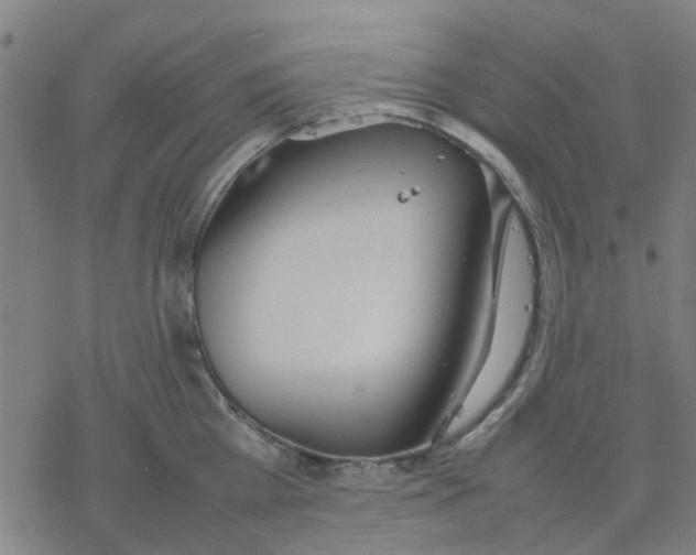 X0000077280809200611101316