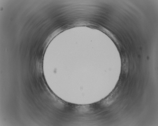 X0000077280810200611101316