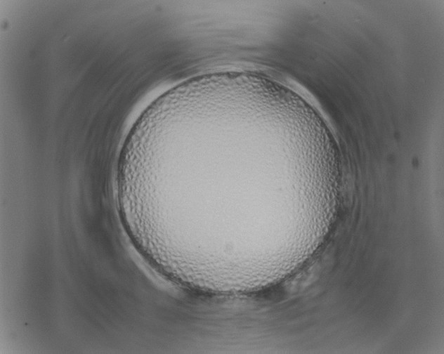 X0000077280811200611101316