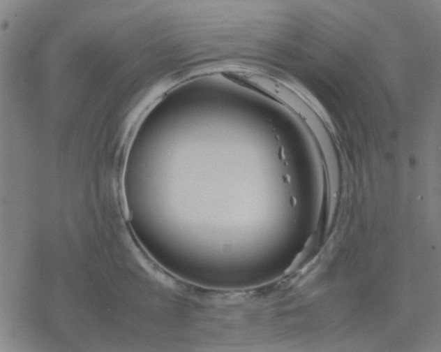 X0000077280813200611101316