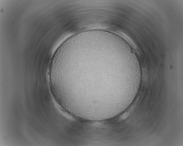 X0000077280814200611101316