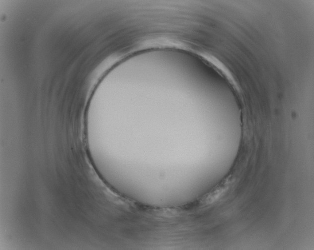 X0000077280815200611101316