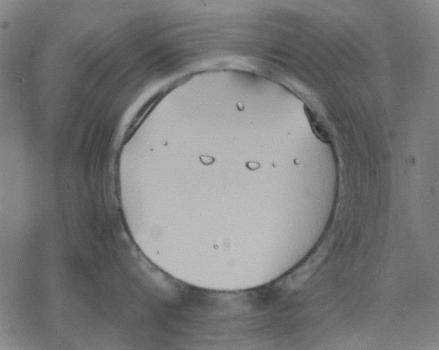 X0000077280816200611101316