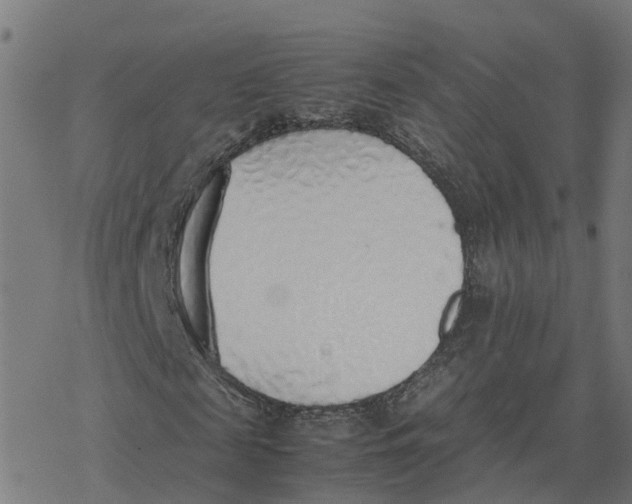 X0000077280817200611101315