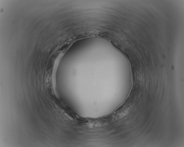 X0000077280818200611101315