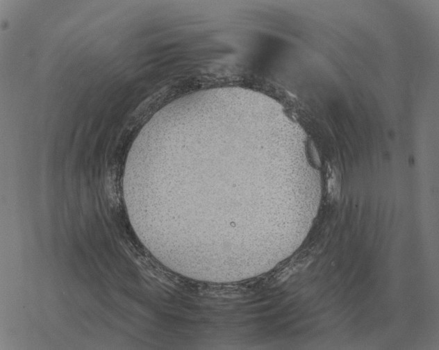 X0000077280819200611101315