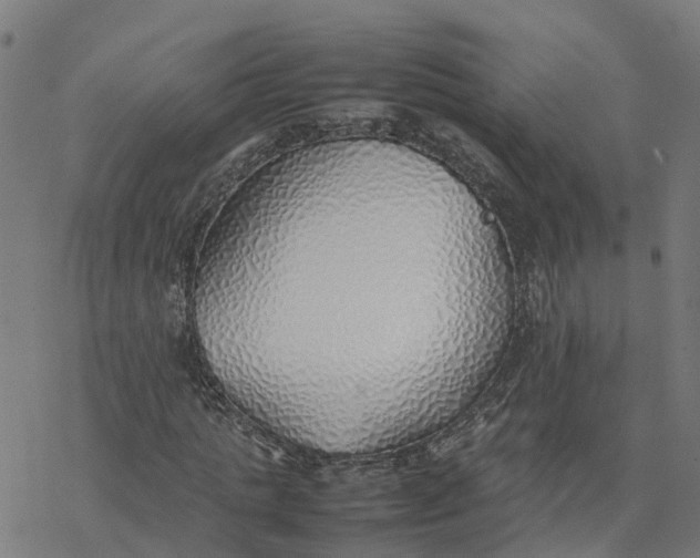 X0000077280821200611101315