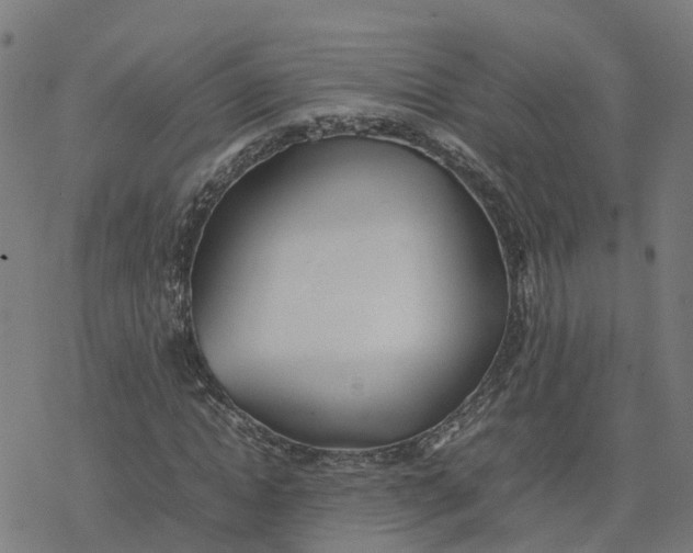 X0000077280822200611101315