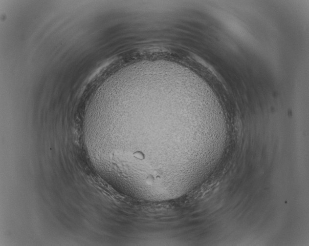 X0000077280823200611101315