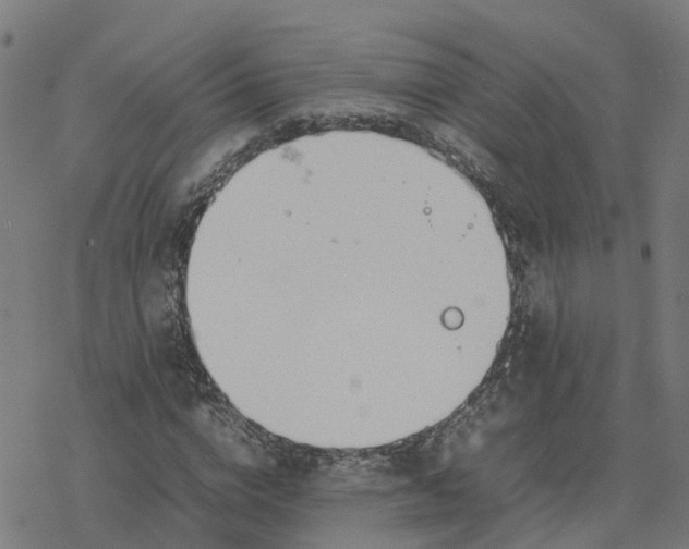 X0000077280824200611101315