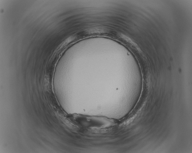 X0000077280825200611101315