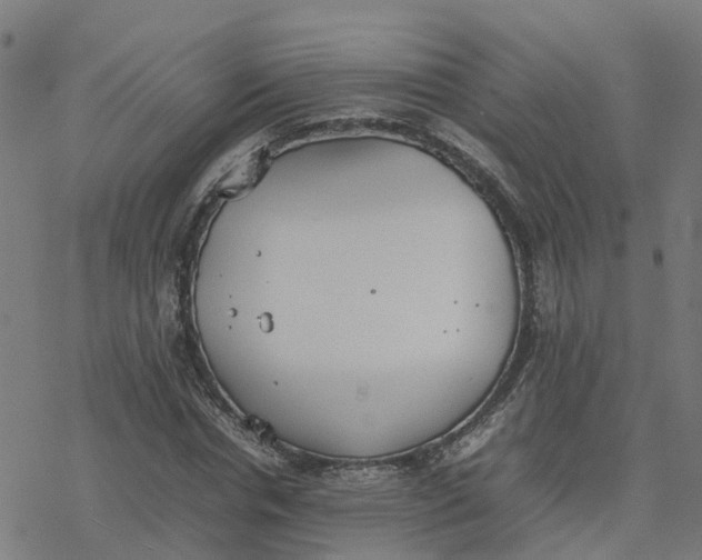 X0000077280826200611101315