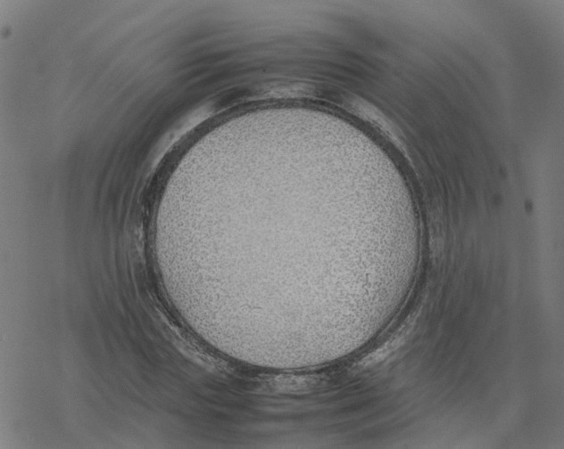 X0000077280827200611101315