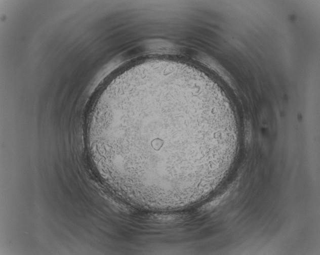 X0000077280829200611101315