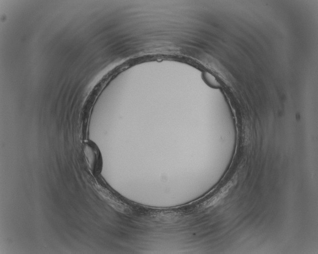 X0000077280830200611101316