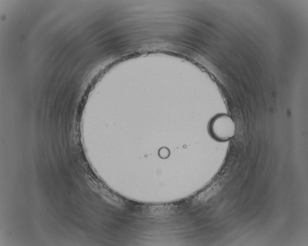 X0000077280832200611101316