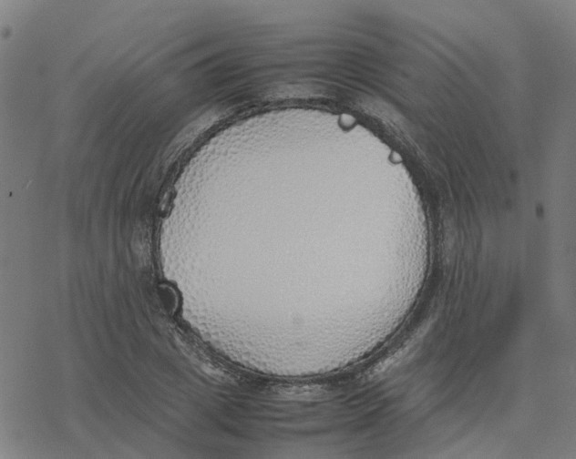 X0000077280833200611101316