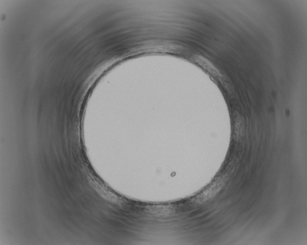 X0000077280836200611101316