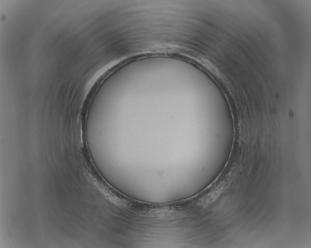 X0000077280838200611101316