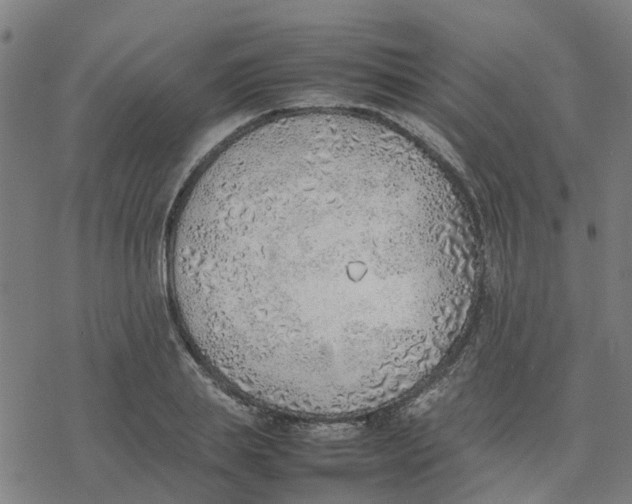 X0000077280839200611101316