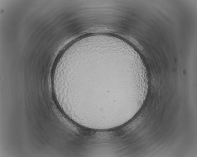 X0000077280840200611101316