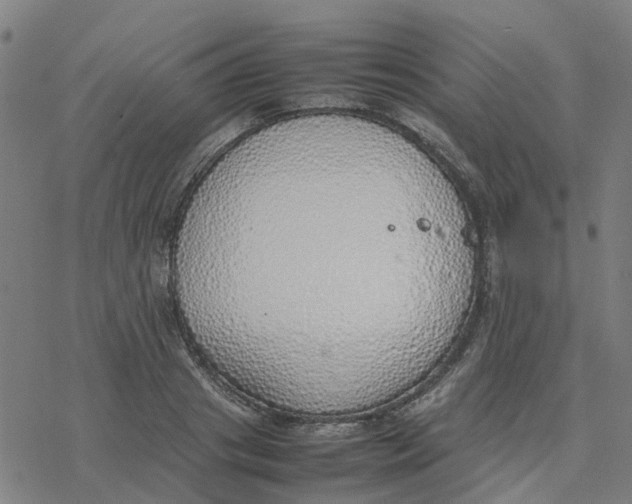 X0000077280841200611101316