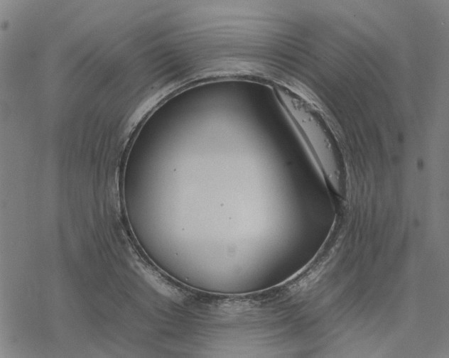 X0000077280842200611101316