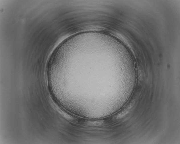 X0000077280843200611101316