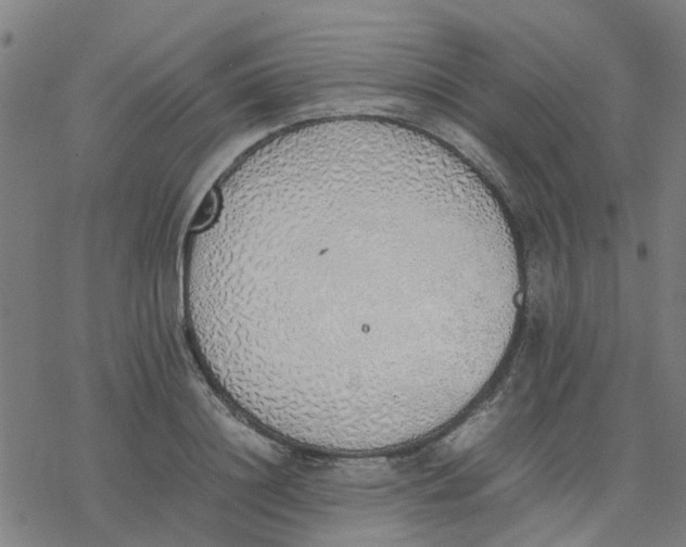 X0000077280844200611101316