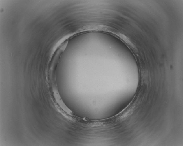 X0000077280846200611101316