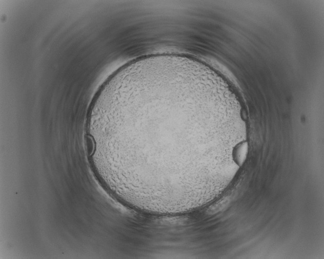 X0000077280847200611101316