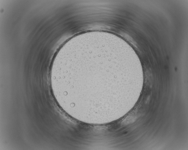 X0000077280848200611101316