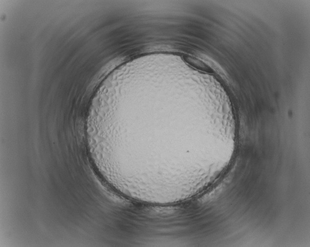 X0000077280849200611101316