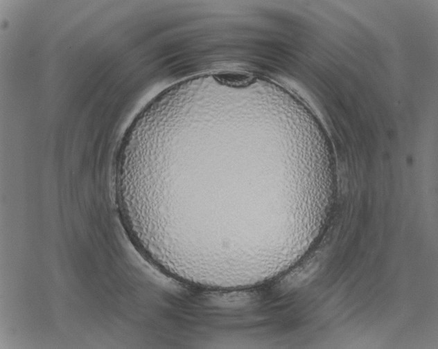 X0000077280851200611101316