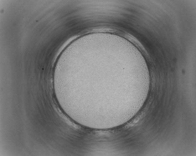 X0000077280852200611101316