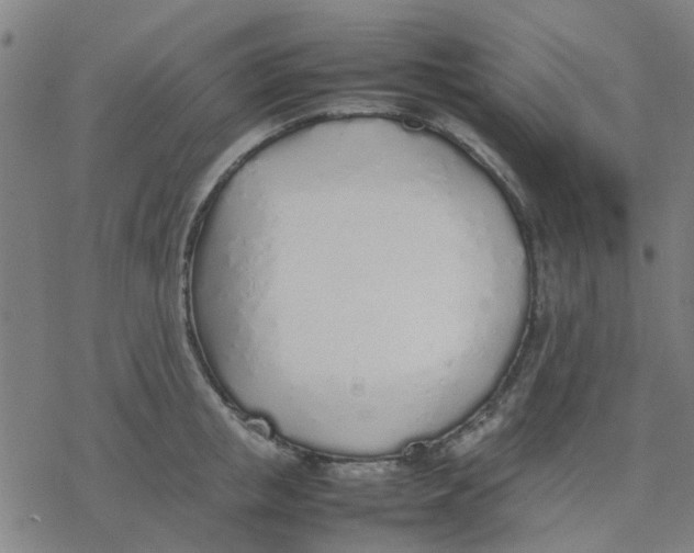 X0000077280853200611101316