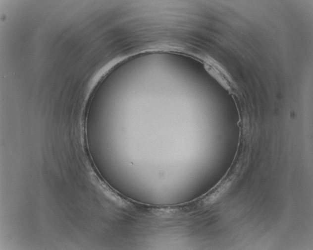 X0000077280854200611101316