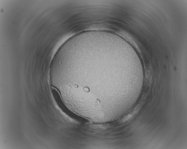 X0000077280855200611101316